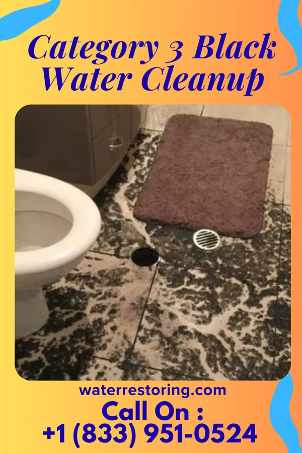 Category 3 Black Water Cleanup in Tooele, UT