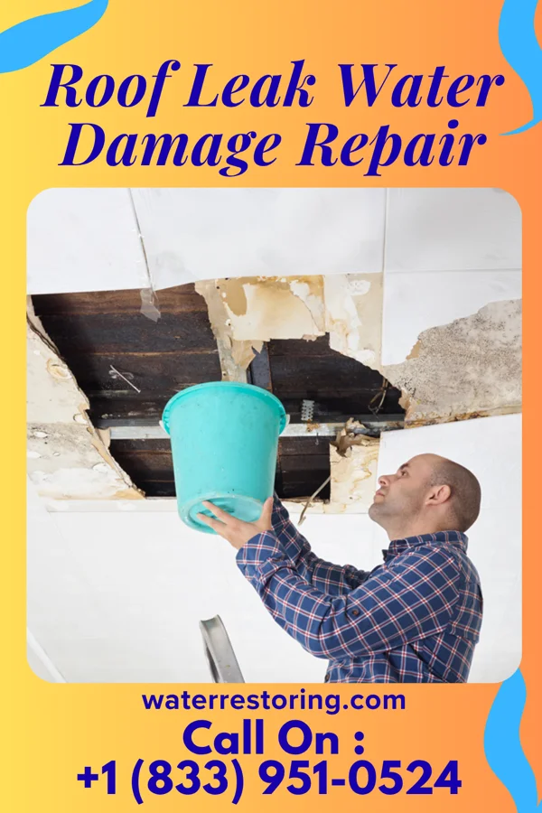 Roof Leak Water Damage Repair in Tooele, UT