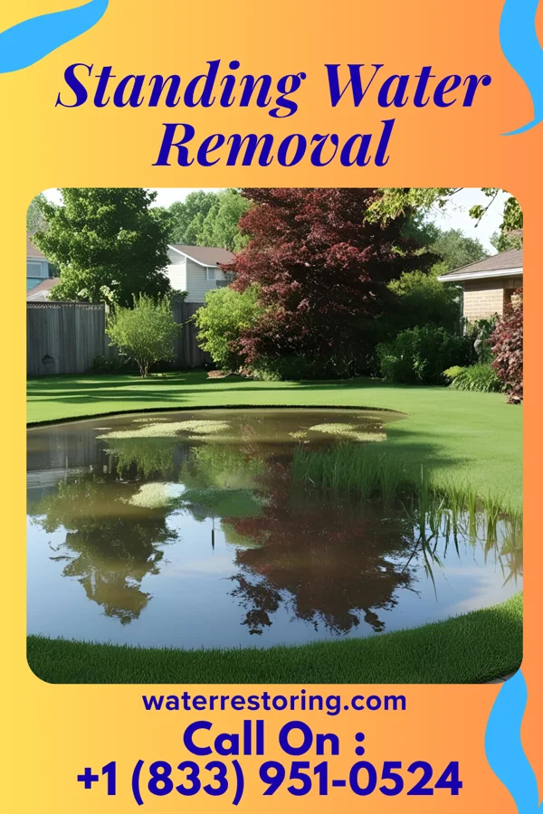 Standing Water Removal in Tooele, UT